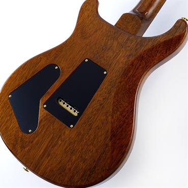 P.R.S. Special Semi-Hollow 10 Top (Black Gold) SN.0409067【2025年生産品】 画像7