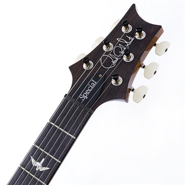 P.R.S. Special Semi-Hollow 10 Top (Black Gold) SN.0409067【2025年生産品】 画像8