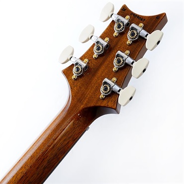 P.R.S. Special Semi-Hollow 10 Top (Black Gold) SN.0409067【2025年生産品】 画像9