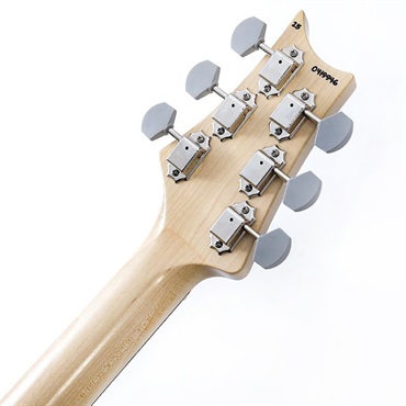 P.R.S. Silver Sky Satin (Mojave Brown Satin) SN.0419946 【2025年生産品】 画像9