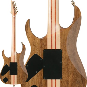 Ibanez VISIONS IV2RG 【受注生産品】 画像1