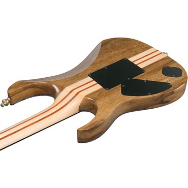 Ibanez VISIONS IV2RG 【受注生産品】 画像3