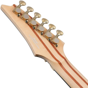 Ibanez VISIONS IV2RG 【受注生産品】 画像5