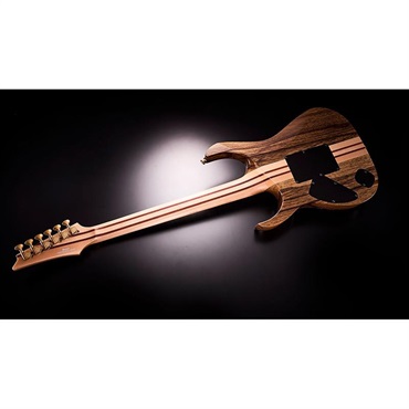 Ibanez VISIONS IV2RG 【受注生産品】 画像9