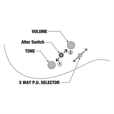 Ibanez AZ Standard AZ24S1F-VLS (Violin Sunburst)【4月26日Jack Gardinerイベント招待対象商品】 画像8