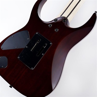 Ibanez j.custom RG8527-BSR (Brownish Sphalerite) [SPOT MODEL]  SN.F2503740 【4月26日Jack Gardinerイベント招待対象商品】 画像7