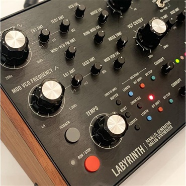 moog Labyrinth ラビリンス 【展示入替特価品】 (セミモジュラー