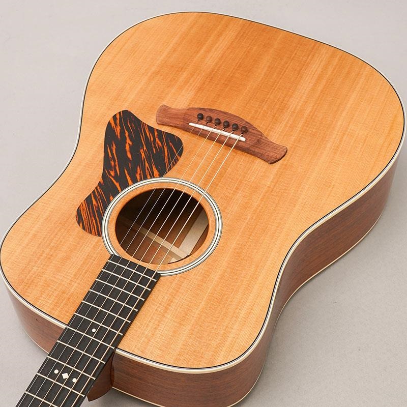TAYLOR Gold Label 510e テイラー ｜イケベ楽器店オンラインストア