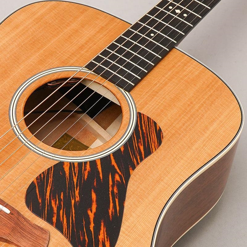 TAYLOR Gold Label 510e テイラー ｜イケベ楽器店オンラインストア