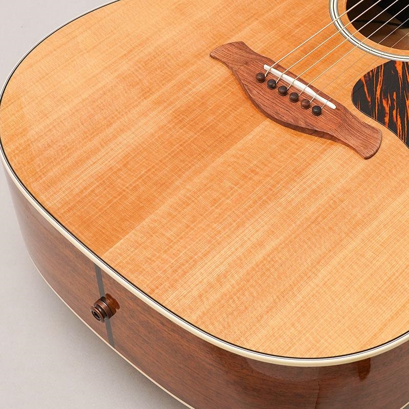 TAYLOR Gold Label 510e テイラー ｜イケベ楽器店オンラインストア