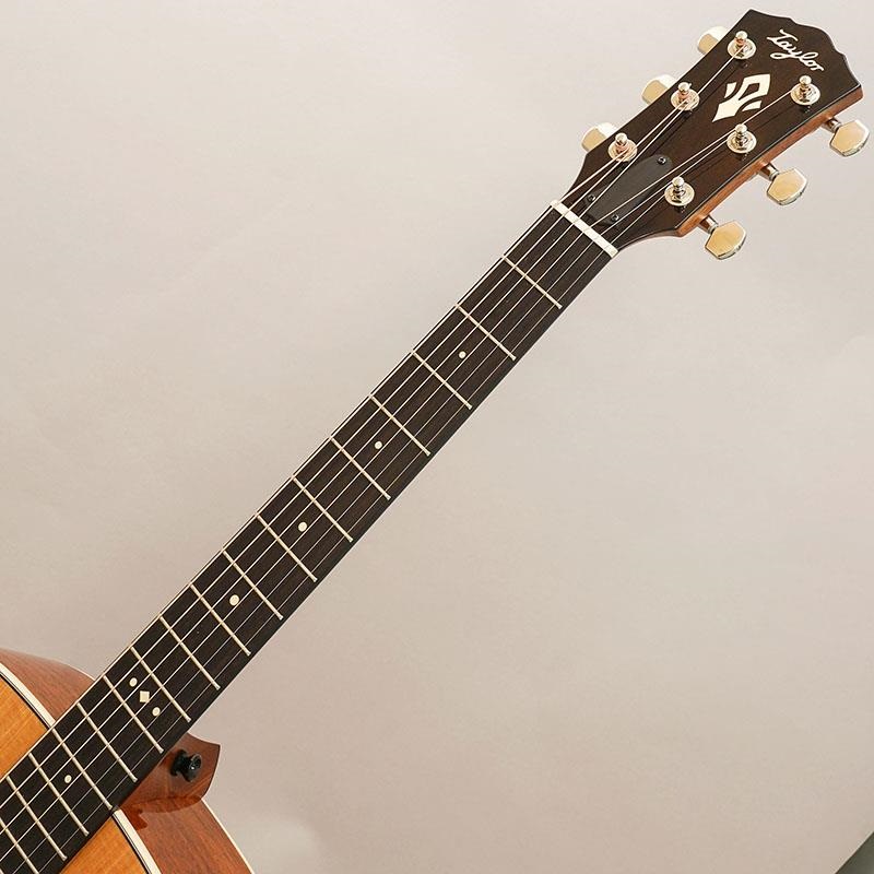 TAYLOR Gold Label 510e テイラー ｜イケベ楽器店オンラインストア