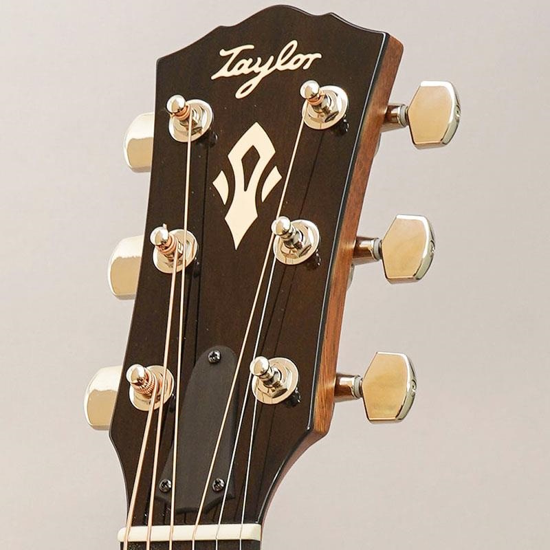 TAYLOR Gold Label 510e テイラー ｜イケベ楽器店オンラインストア