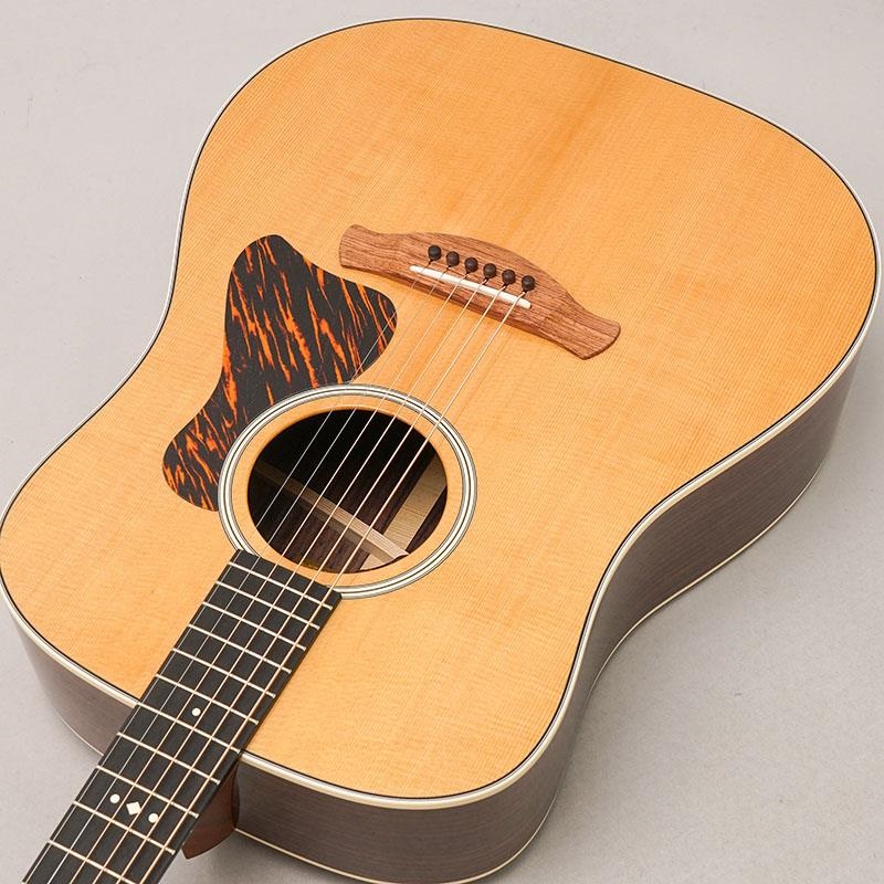 TAYLOR Gold Label 710e テイラー ｜イケベ楽器店オンラインストア