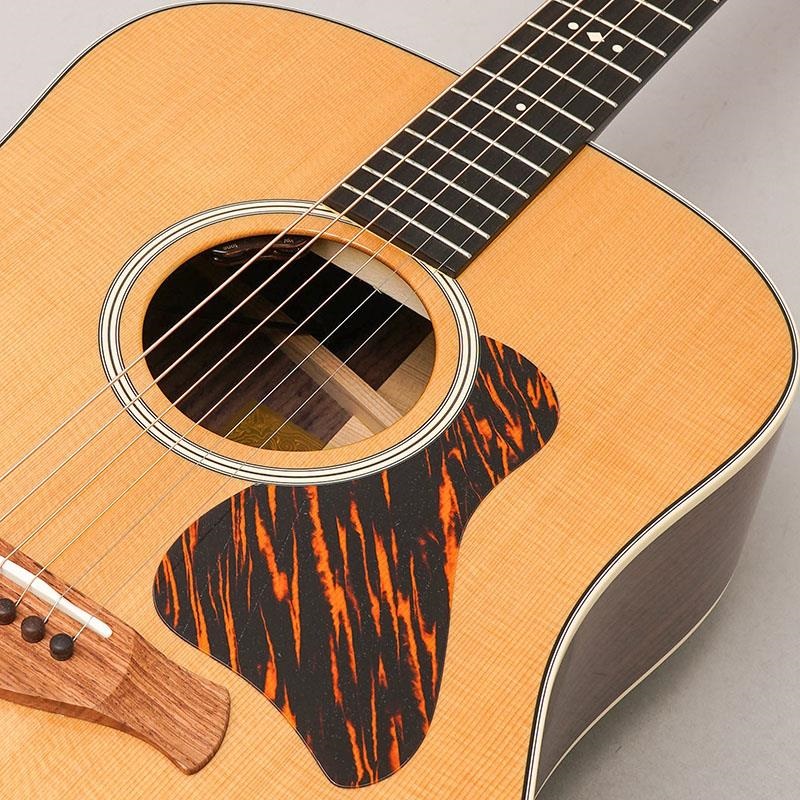 TAYLOR Gold Label 710e テイラー ｜イケベ楽器店オンラインストア