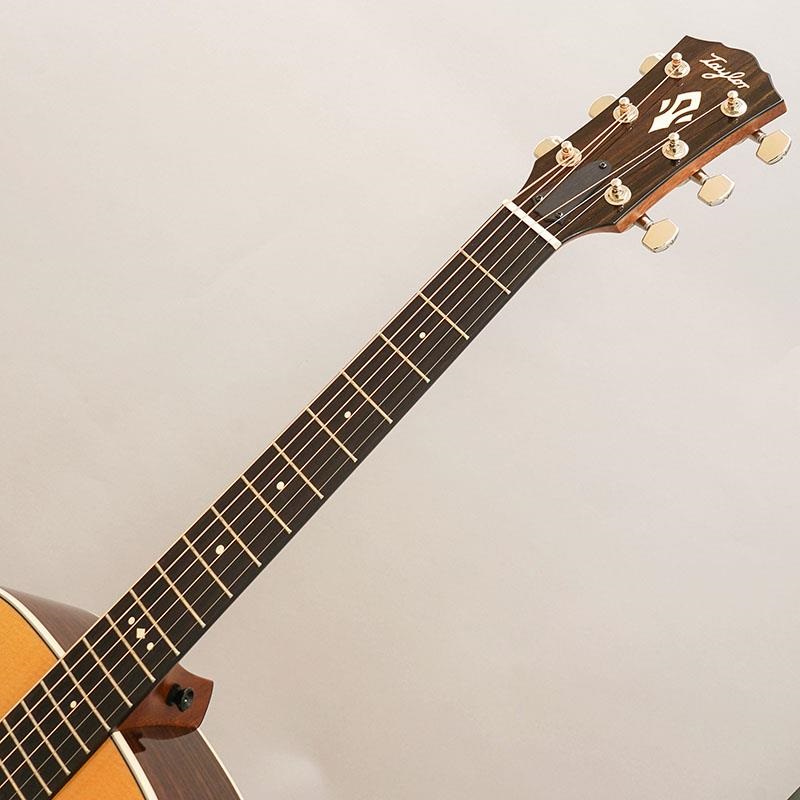 TAYLOR Gold Label 710e テイラー ｜イケベ楽器店オンラインストア