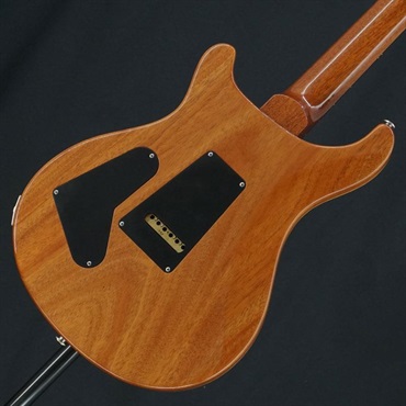 P.R.S. USED 中古 2015 Wood Library Custom 24 (Amethyst)[SN.15 217228] Paul Reed Smith ポールリードスミス 画像1