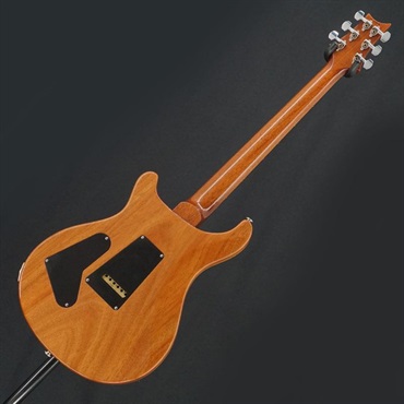 P.R.S. USED 中古 2015 Wood Library Custom 24 (Amethyst)[SN.15 217228] Paul Reed Smith ポールリードスミス 画像3