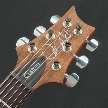 P.R.S. USED 中古 2015 Wood Library Custom 24 (Amethyst)[SN.15 217228] Paul Reed Smith ポールリードスミス 画像6