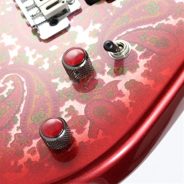 unknown USED 中古 Dhatarattha CUSTOM GUITAR Performance S Paisley (Red Burst) 画像5