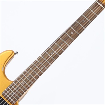 unknown USED 中古 Dhatarattha CUSTOM GUITAR Performance S Relic (Gold over Black Paisley) 画像6