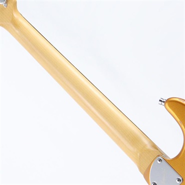 unknown USED 中古 Dhatarattha CUSTOM GUITAR Performance S Relic (Gold over Black Paisley) 画像7