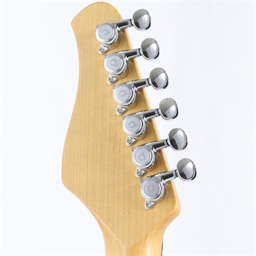 unknown USED 中古 Dhatarattha CUSTOM GUITAR Performance S Relic (Gold over Black Paisley) 画像9