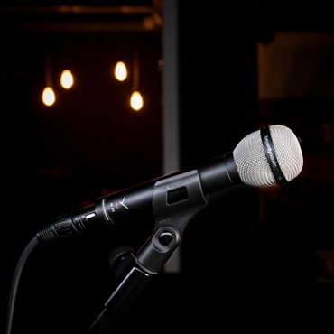 beyerdynamic M 88 (ベイヤーダイナミック)(ダイナミックマイク)(M88)(ハイパーカーディオイド) 画像2