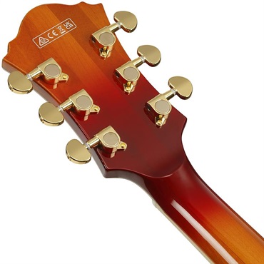 Ibanez 【3月18日入荷予定】 ARTSTAR AF115-AWB (Aged Whiskey Burst) 画像5