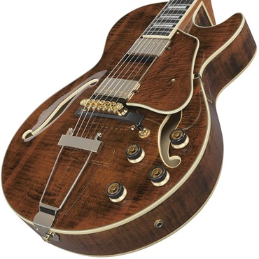 Ibanez 【3月18日入荷予定】 Artcore Expressionist AG95MG-DA (Dark Amber) [SPOT MODEL] 画像2