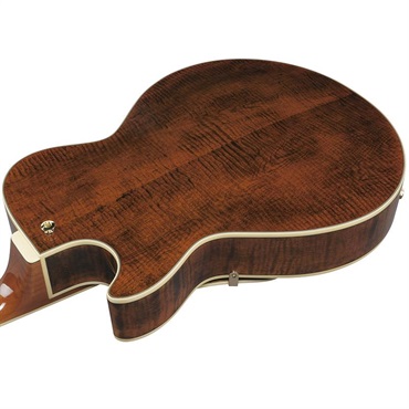 Ibanez 【3月18日入荷予定】 Artcore Expressionist AG95MG-DA (Dark Amber) [SPOT MODEL] 画像3