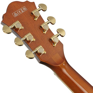 Ibanez 【3月18日入荷予定】 Artcore Expressionist AG95MG-DA (Dark Amber) [SPOT MODEL] 画像5