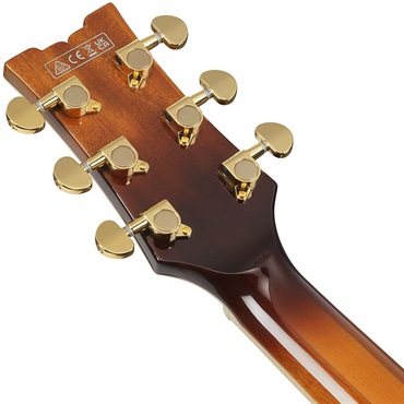 Ibanez 【3月18日入荷予定】 Artcore Expressionist AM93QA-VVH (Vintage Violin High Gloss) 画像5