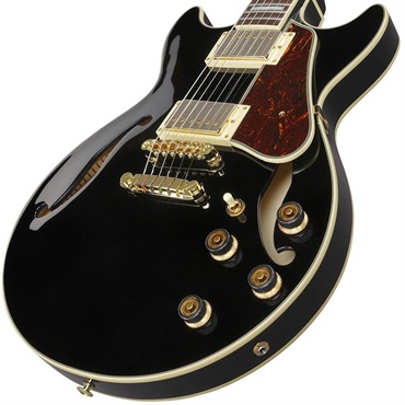 Ibanez 【3月18日入荷予定】 Artcore AM73G-BK (Black) [SPOT MODEL] 画像2
