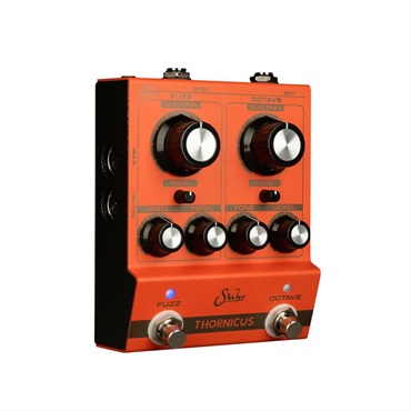 Suhr Amps THORNICUS 画像2