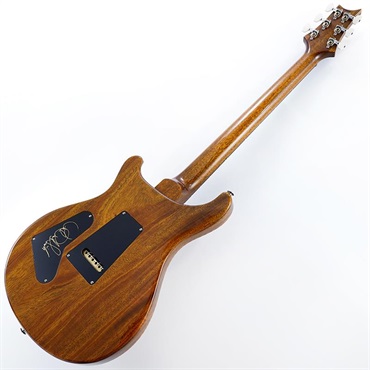 P.R.S. Custom 24 (Black Gold) SN.0420012 【2025年生産品】 画像2