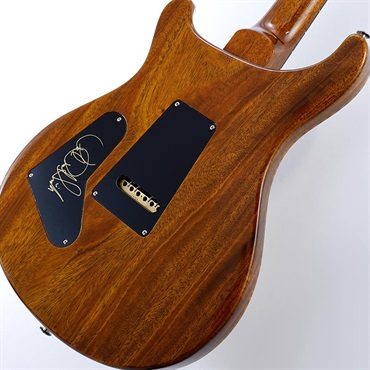 P.R.S. Custom 24 (Black Gold) SN.0420012 【2025年生産品】 画像7
