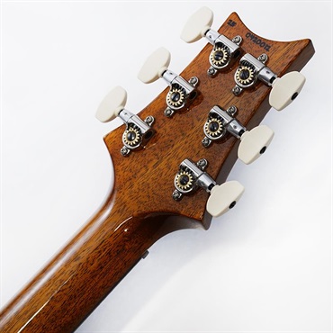 P.R.S. Custom 24 (Black Gold) SN.0420012 【2025年生産品】 画像9