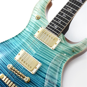 P.R.S. Private Stock #11125 McCarty 594 Brazilian Rosewood Neck & Fingerboard (Sub-Zero fade) 画像3
