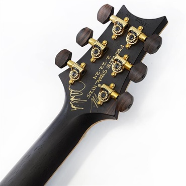 P.R.S. Private Stock #11125 McCarty 594 Brazilian Rosewood Neck & Fingerboard (Sub-Zero fade) 画像9