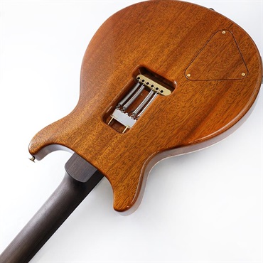 P.R.S. Private Stock #11127 Santana II Brazilian Rosewood Neck & Fingerboard (Santana Orange) 画像6