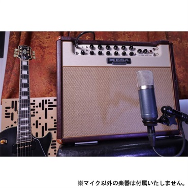 Roswell Pro Audio Cab Mic -Guitar Microphone (ロズウェル)(ギターアンプ専用マイク)(コンデンサーマイク)(カーディオイド)(ラージダイヤフラム) 画像2