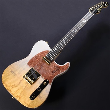 momose MT-SKR'26/E EQS (Fuyuzakura-Gradation) #22244 画像1