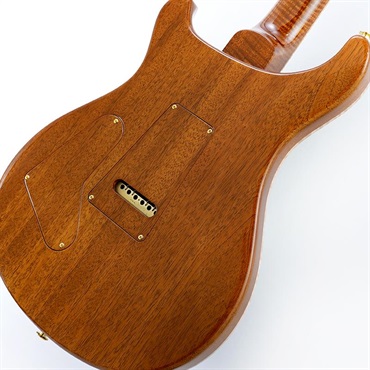 P.R.S. Private Stock #12098  Custom 24 (Laguna Fade) 画像7