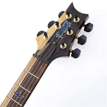 P.R.S. Private Stock #12098  Custom 24 (Laguna Fade) 画像8