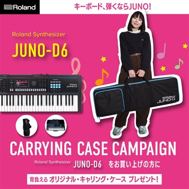 Roland JUNO-D6 ～必要最低限☆お手軽セット～ (キャリングケースプレゼント)  61鍵盤【kbdset】 SYNTHESIZER シンセサイザー ローランド ※配送事項要ご確認 画像1