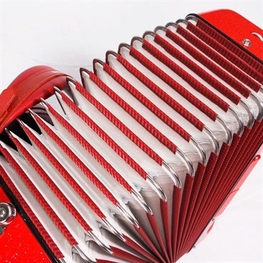 unknown USED 中古 PIERMARIA 206 Vintage Red (イタリア製アコーディオン) (純正ロゴ入りハードケース付) ピエルマリア 画像7