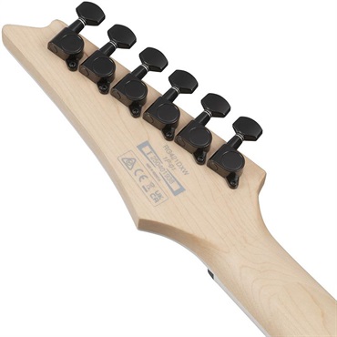 Ibanez 【3月26日入荷予定】 RG421DX-TWS (Twilight Shade) [SPOT MODEL] 画像5