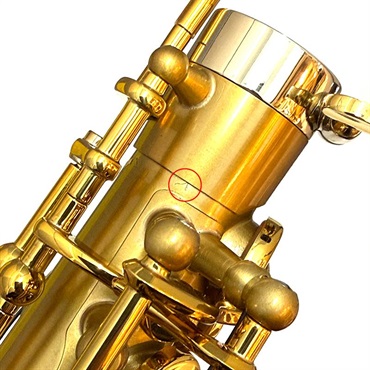 Selmer Paris 【アウトレット特価】アルトサックス セルマー Signature シグネチャー BRUSHED GL(ブラッシュド ゴールドラッカー) 【調整&セットアップ後出荷】【5年間キーバランス調整無料】 画像3