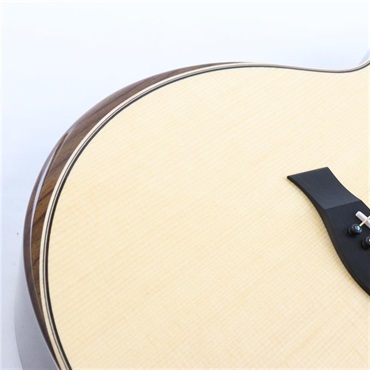 TAYLOR Next Generation 814ce テイラー 画像9