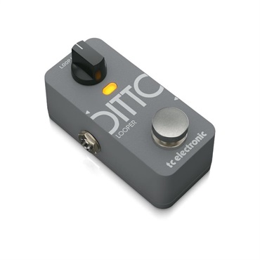 tc electronic DITTO 2 LOOPER ｜イケベ楽器店オンラインストア